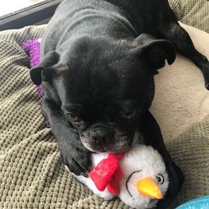 Meet your Posher, Mara